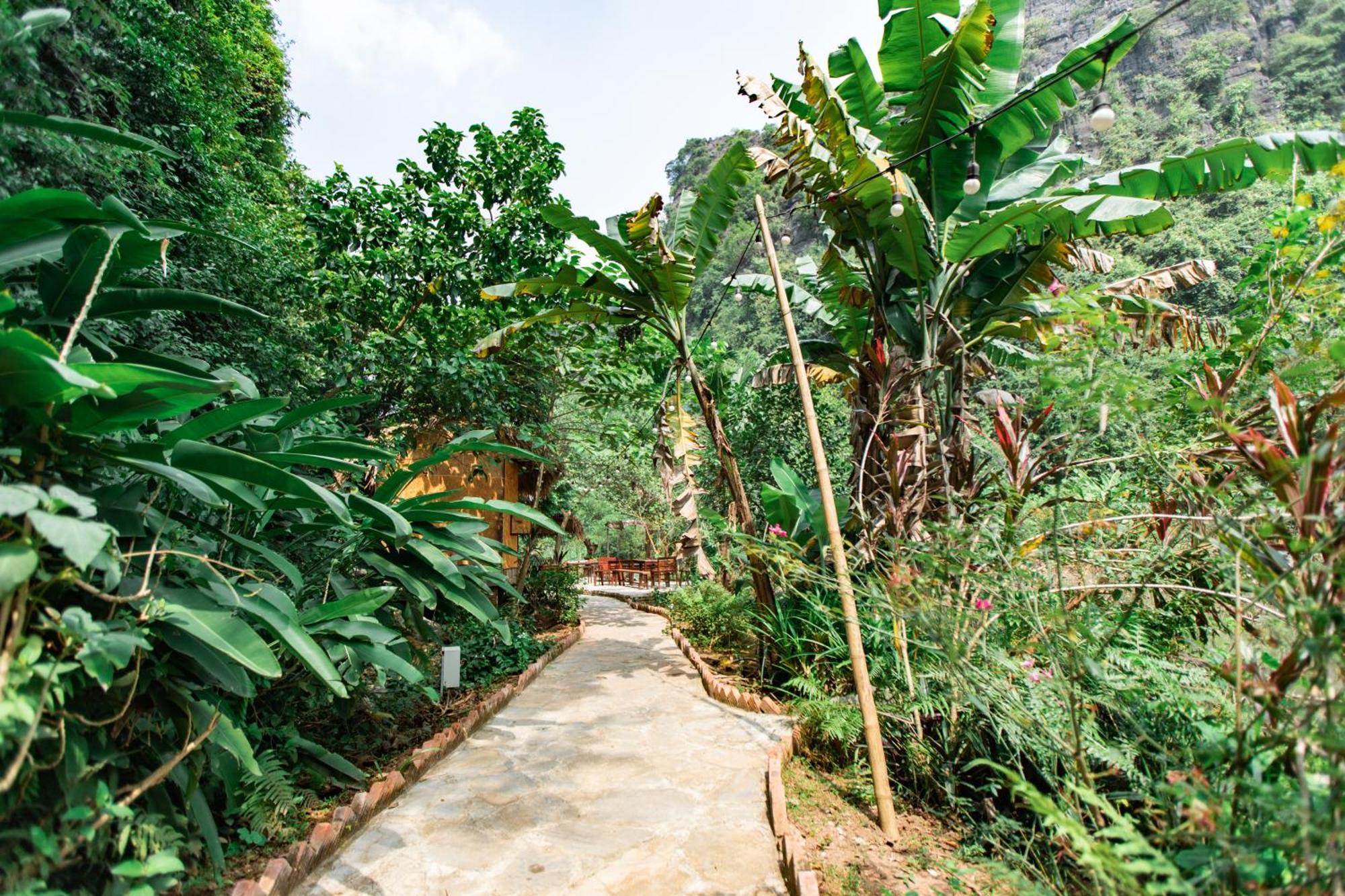 Thung Sen Tam Coc Chalets Ninh Binh Exterior photo