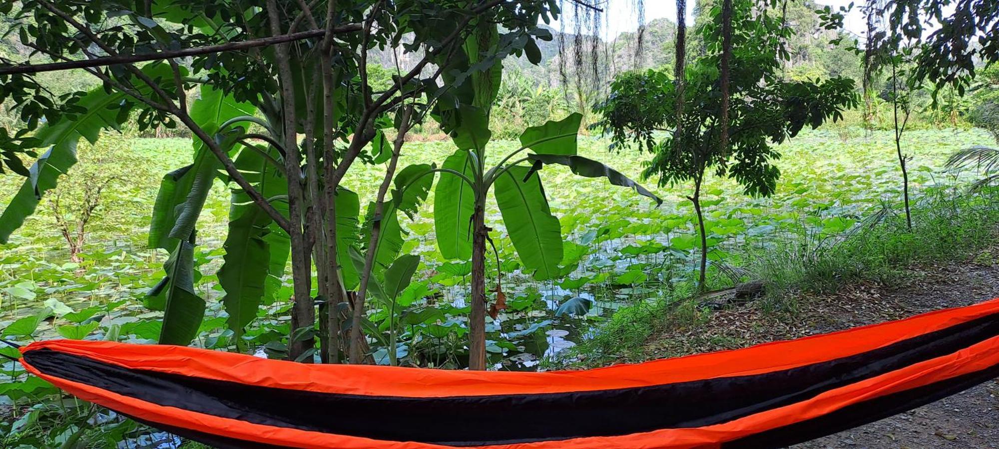Thung Sen Tam Coc Chalets Ninh Binh Exterior photo